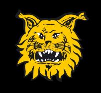 Finland_Ilves_2.JPG