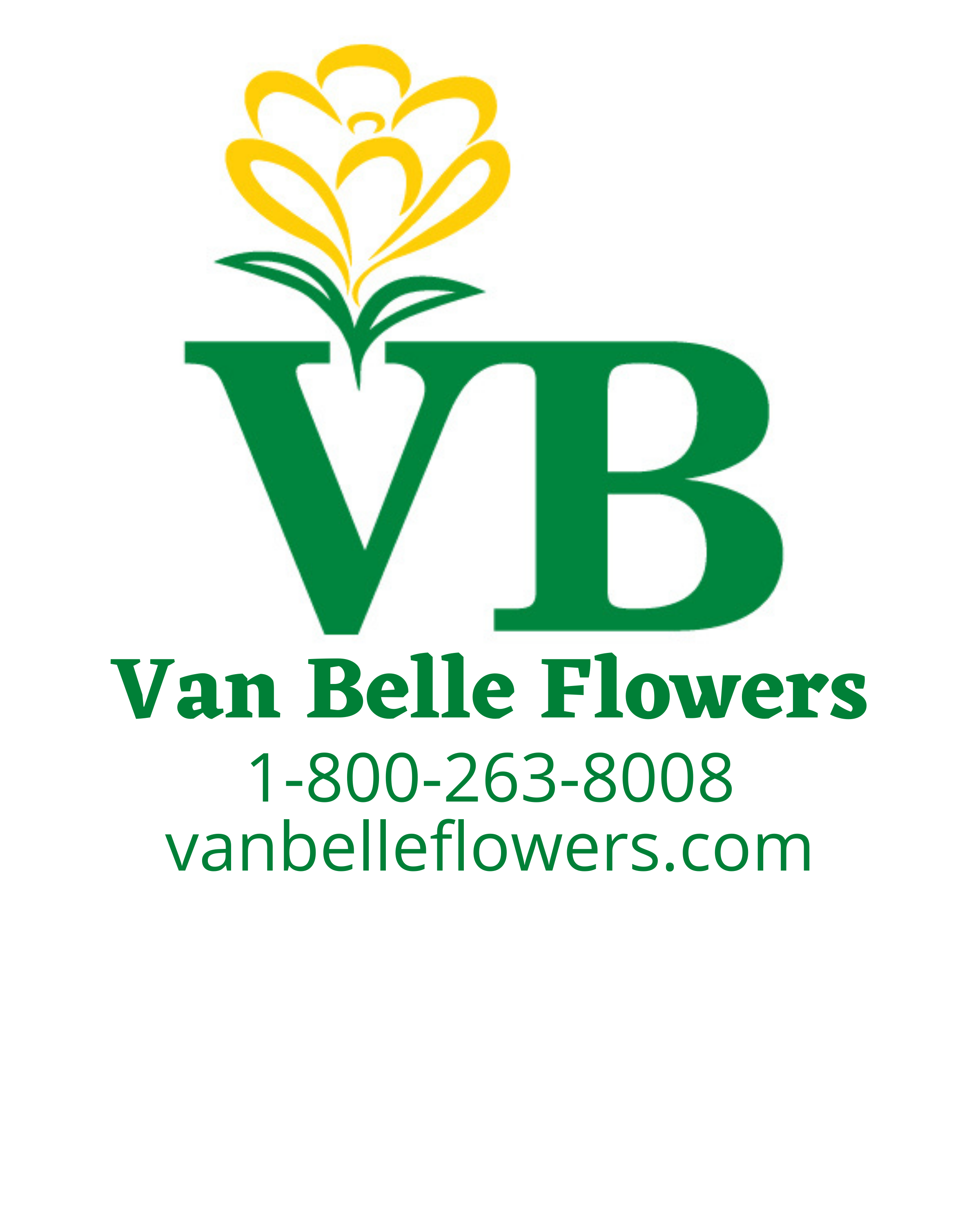 Van Belle Flowers