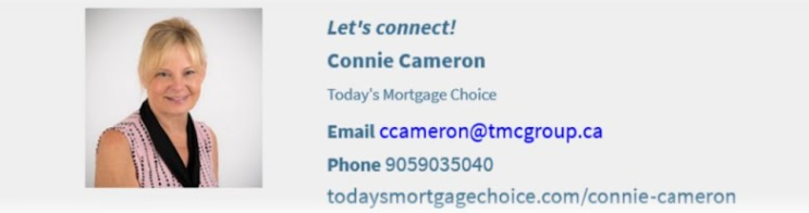 Connie Cameron Consulting Inc.